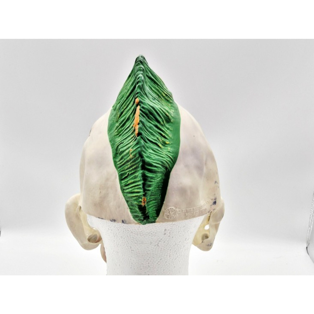 Rubies Scary Punk'd Evil Clown Mask Halloween Green Mohawk Anarchy Scary Latex - Picture 6 of 8